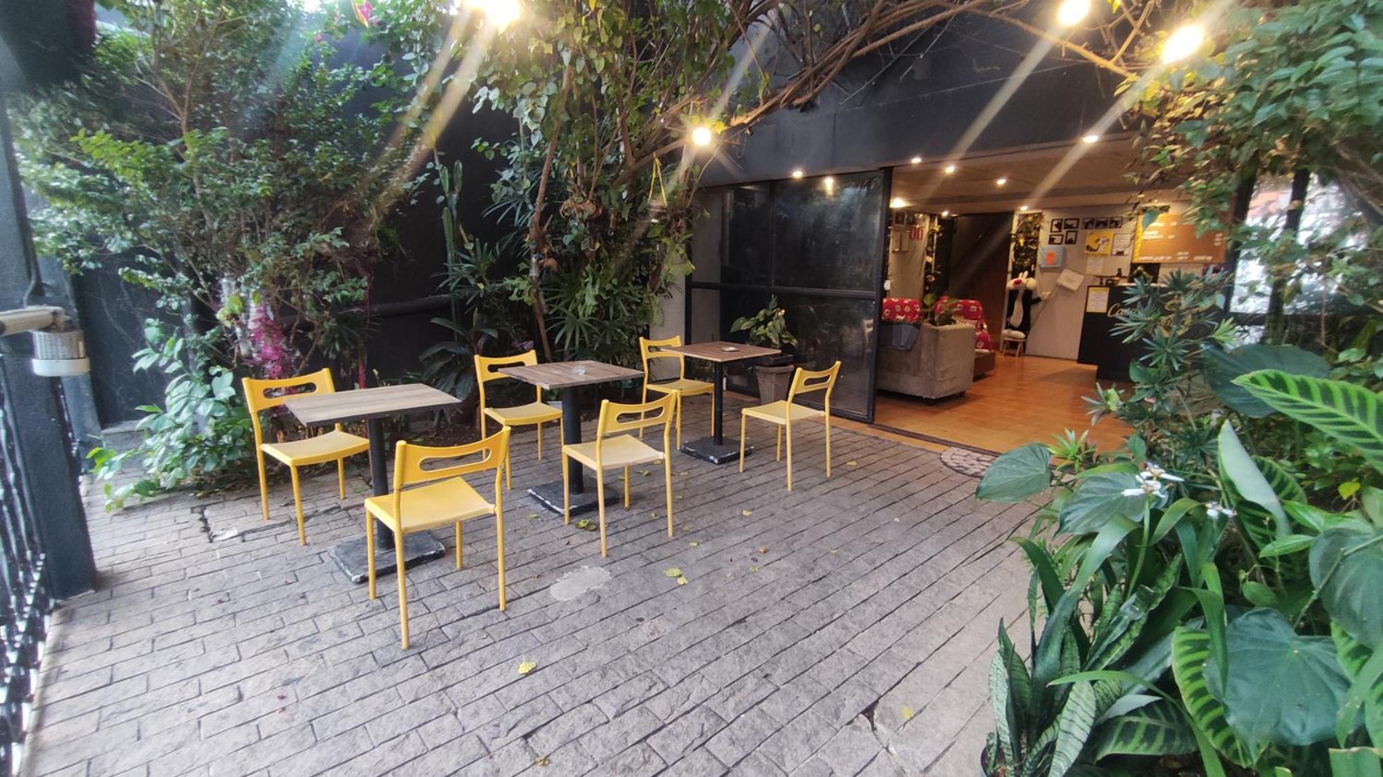 Casa Dos Gattos - Prox Ao Aeroporto Inn